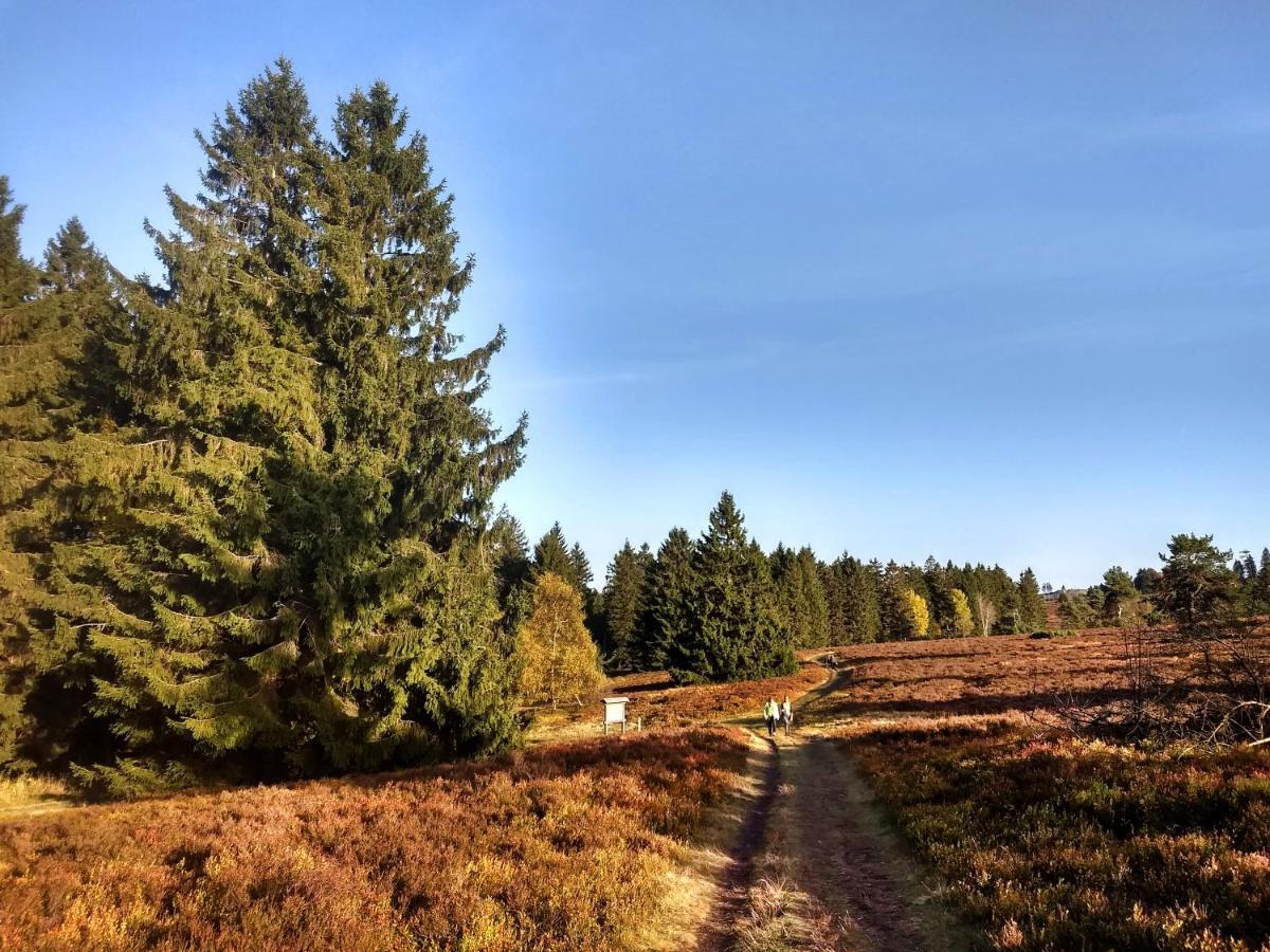 Apartment Hillebachsee Winterberg Buitenkant foto